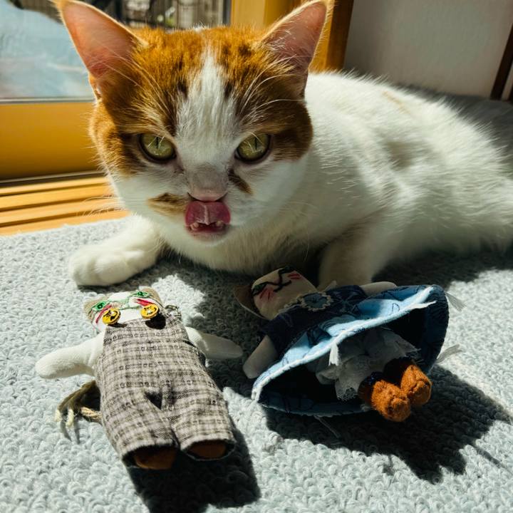 B0e323d1 0955 4932 90b8 df67d28a4ffc 1773028281638