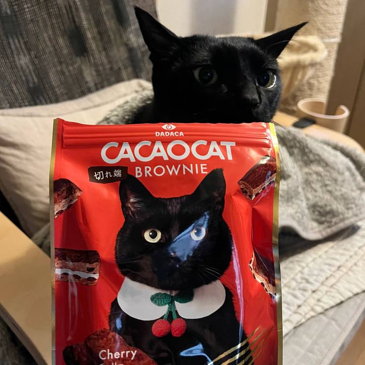 B0e33753 56f4 47ea 91d2 249e9955bda3 1771062964267