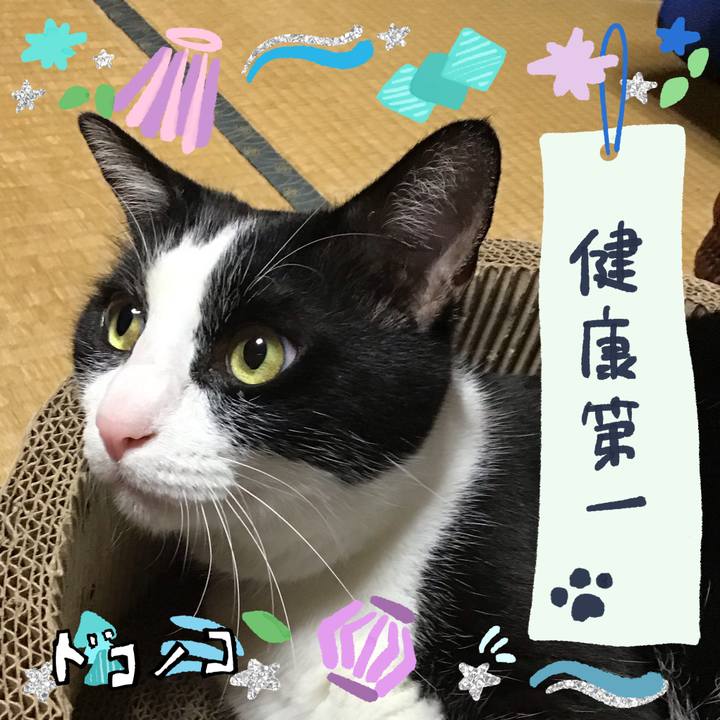 B0e35518 739d 4c4c ad51 70ad9f324f3a 1720956776431