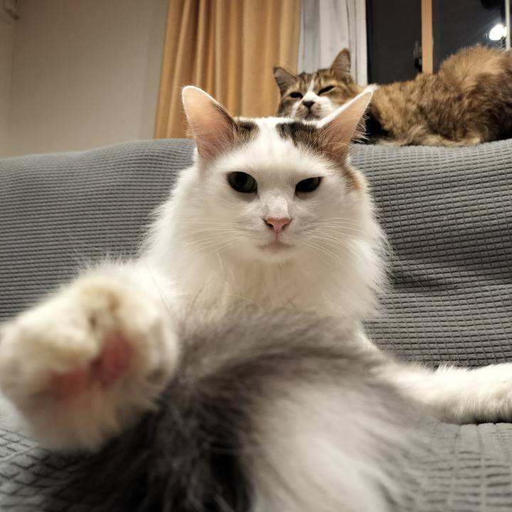 B0e35cb0 53ee 4c01 8d79 3778e406e180 1762133512977