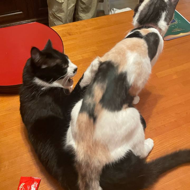 B0e3a6d5 361e 4f5a 801b a601bd43bd91 1736406659572