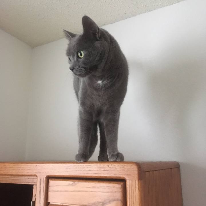 B0e3c422 011d 40ea 8a6d aa905d51656c 1646963565610