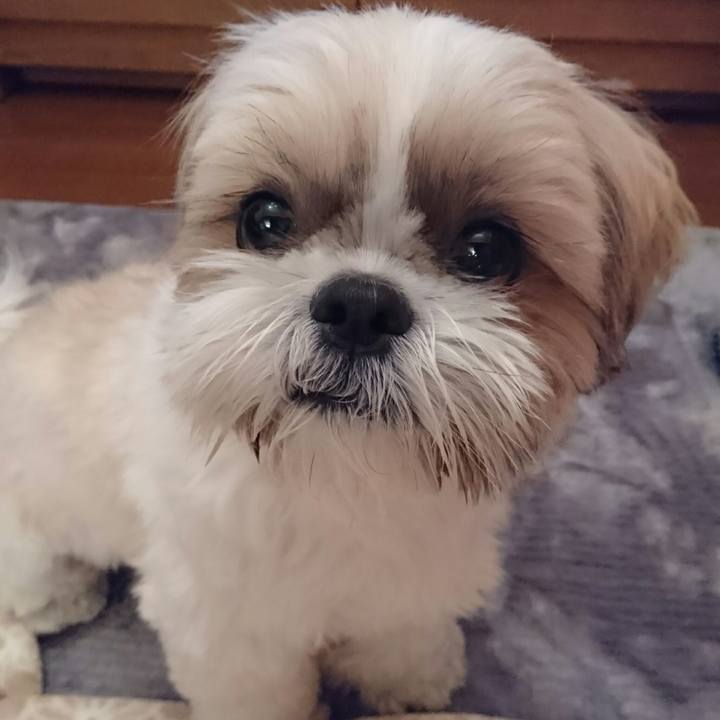 B0e3c875 a886 4555 8648 86ab89d473eb 1545137884365