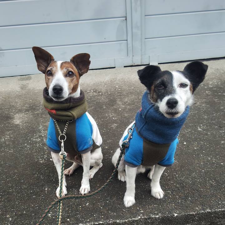 B0e3ffc7 8bf3 4b17 963f be63d4b94919 1764021750859