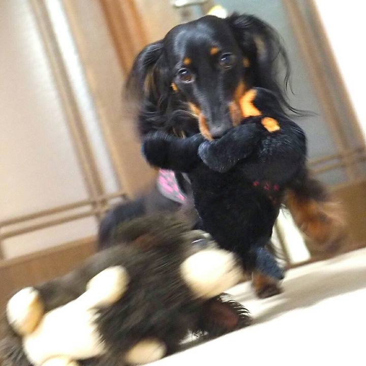 B0e4451f 1298 4975 ba63 9929d2f4b51f 1520557532977