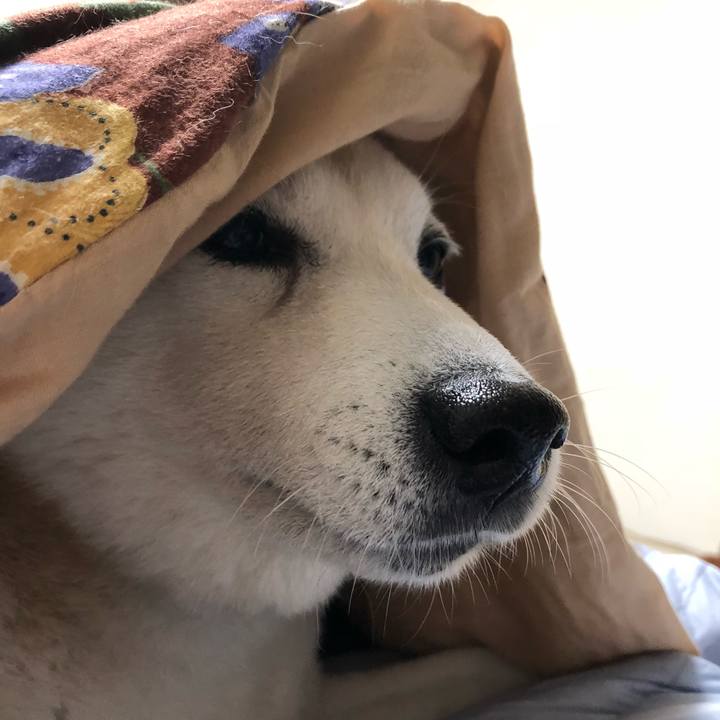 B0e44ee4 37be 4837 ba77 68a1bb7c7b83 1542808675197