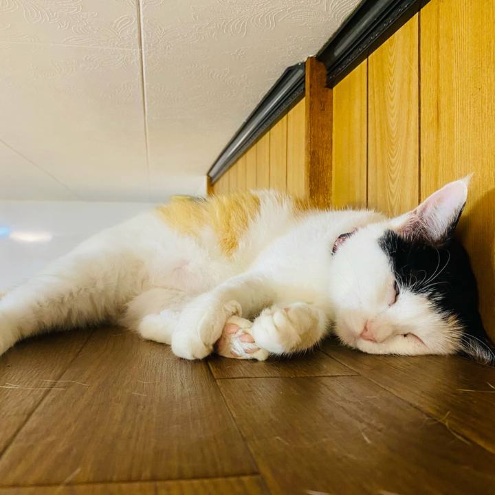 B0e45776 4f76 4b0e abee c329e90c1d08 1656808944858