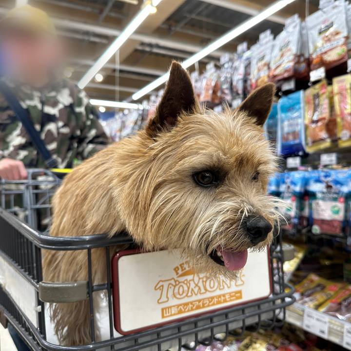 B0e45f34 18d9 4d3e ae0c 8f9092edd3db 1773655361941