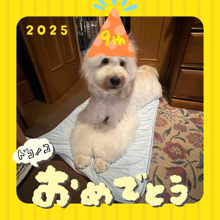 B0e46ab1 42b5 420c 9be3 76b82b5f78c7 1749536326742