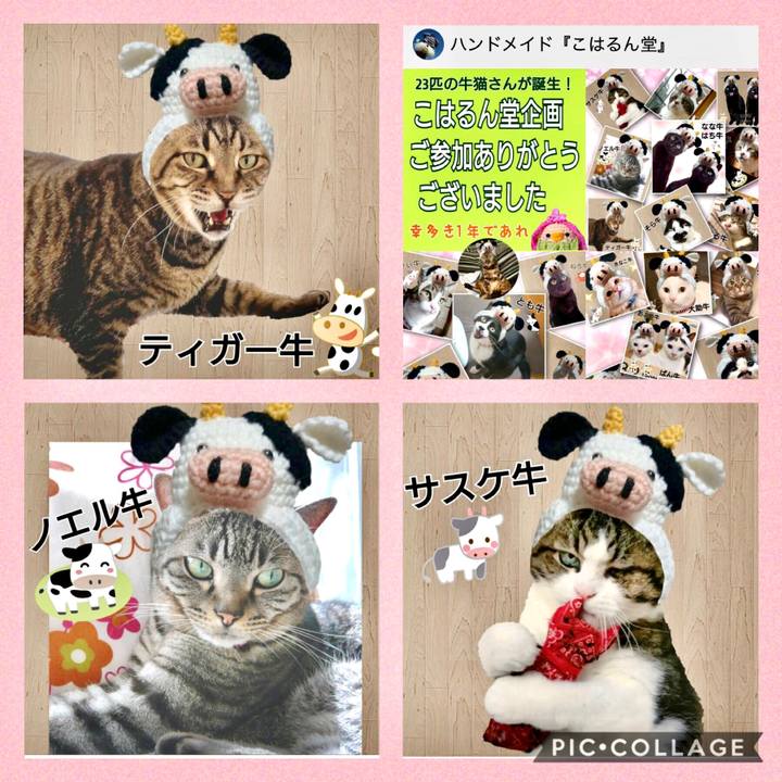 B0e48626 bddc 4aa1 92a3 6801c8599c83 1609936957350
