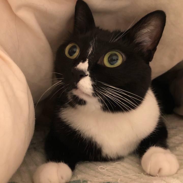 B0e4b119 e423 4d7c 9b99 b4812b34b312 1537913772046