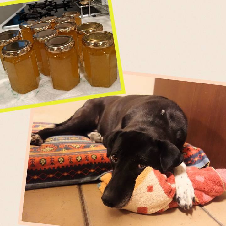 B0e52451 747c 4bdb 89b4 5b5864ae28d2 1701513435737