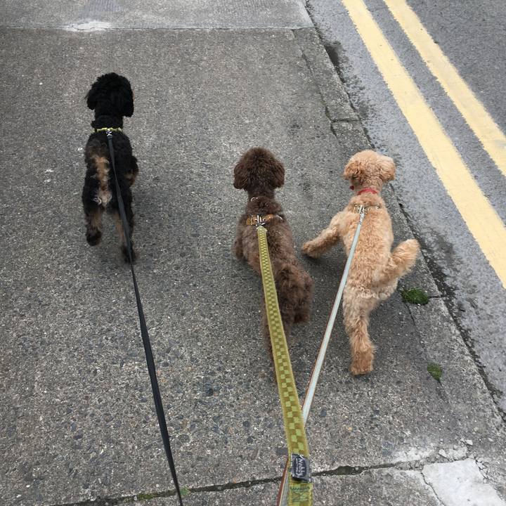 B0e535cf f09c 4409 88fa 1701042e4dc3 1559409877400