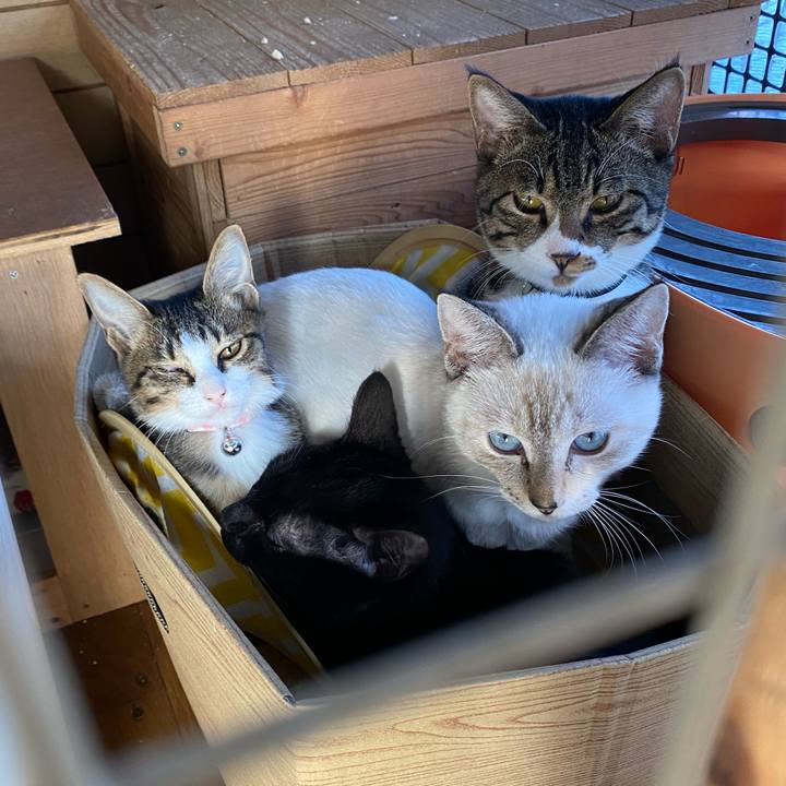 B0e53f29 ac53 4ec6 a25d 6b83967a0b84 1635468895871