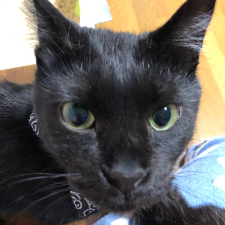 B0e584e9 1a08 4791 ba9a d33a8b2d2b9b 1557051434012