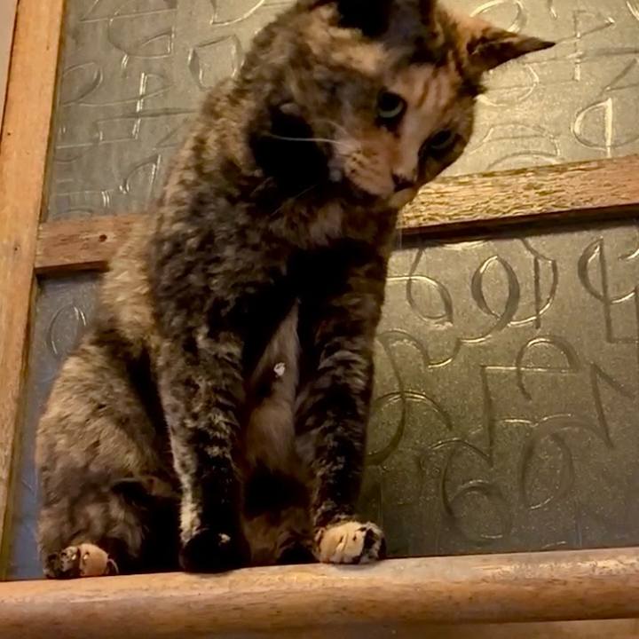 B0e5a41c f531 40ca a220 d813beb64817 1759610876017