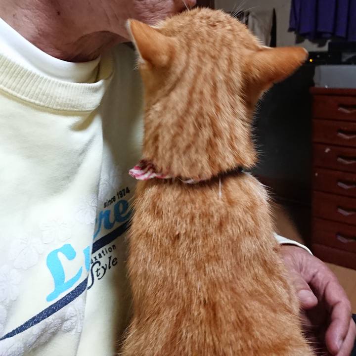 B0e5ab5e 7fc6 4a1e 8345 ee6bba7c0088 1603484121031