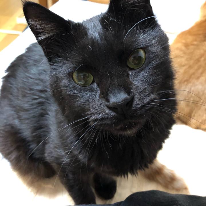 B0e60a52 3868 4d93 9ed9 8f912f6c5999 1592579240971