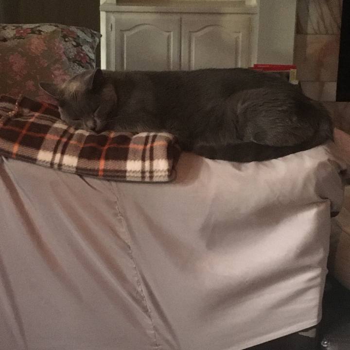 B0e64277 69d0 45e2 ba84 23433df6b330 1659231033349