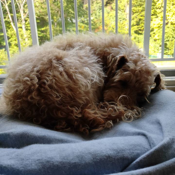 B0e653e7 0935 484c 8911 26b8d36ef2c4 1600729842005