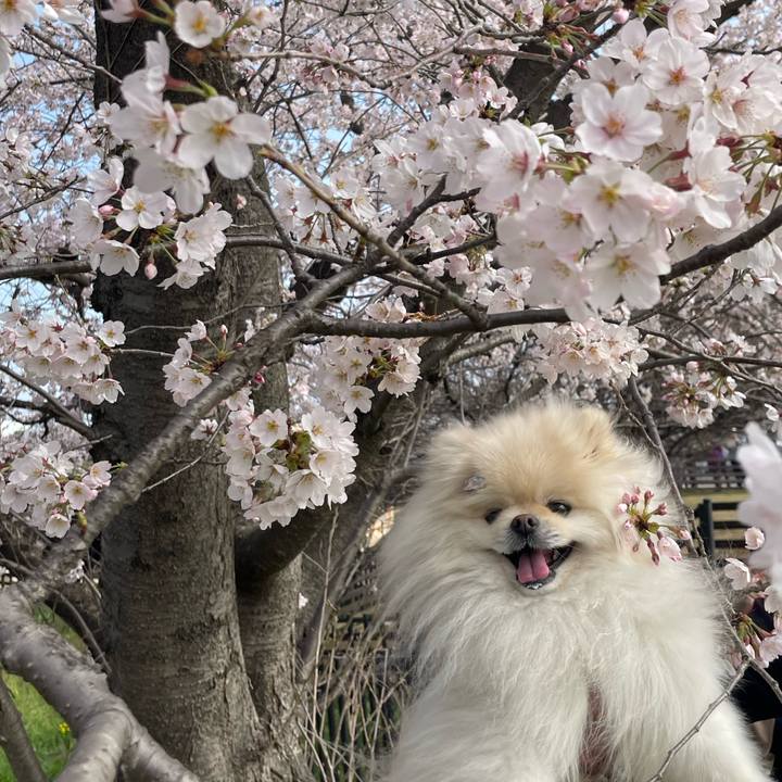 B0e6e218 abd2 431d 9f6b ac7da5b9569d 1648606138109