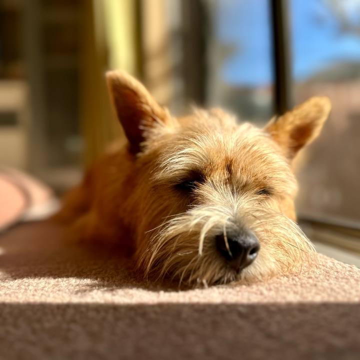 B0e6f76c 49e6 42ba b81e 390632fb90ea 1731854903552