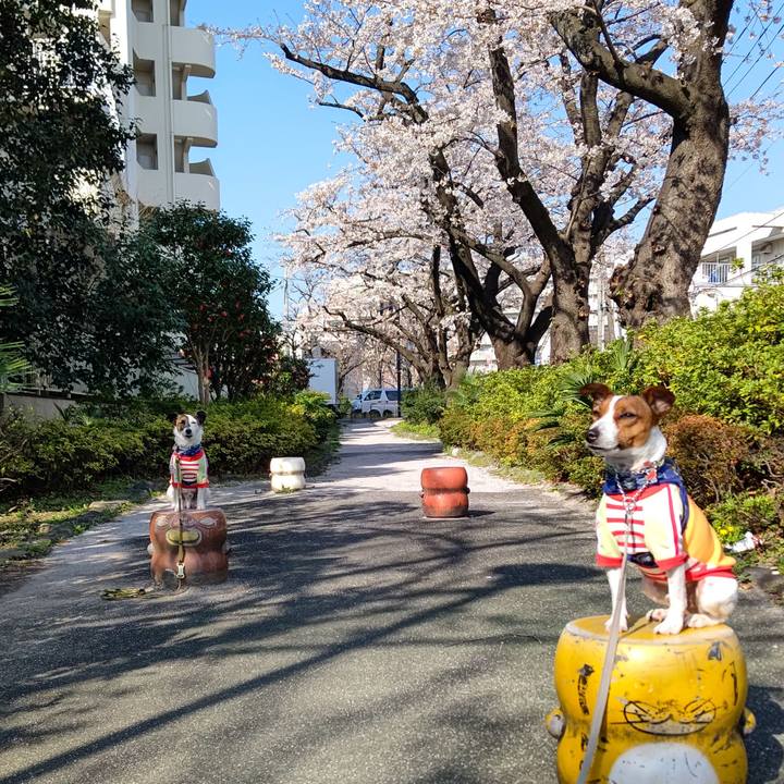 B0e7156e 5d22 4243 998f 6209921c6f25 1616542615907