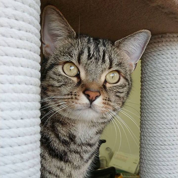 B0e72f48 15e7 40c1 8f69 61f0f78f0460 1550530158276