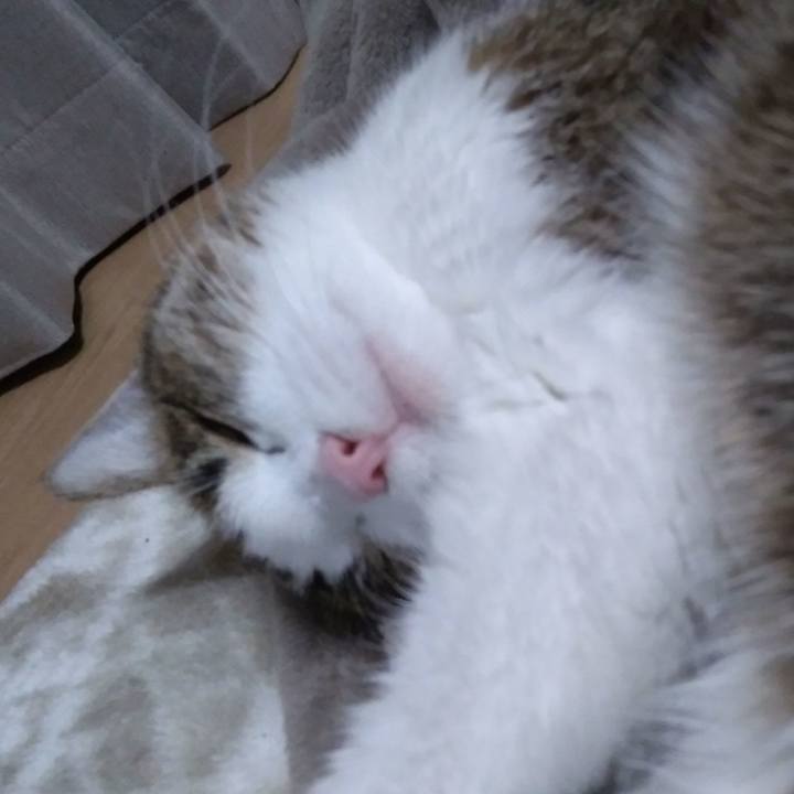 B0e7323b d882 430e b6a9 9bac3a4cb6e7 1552482884429