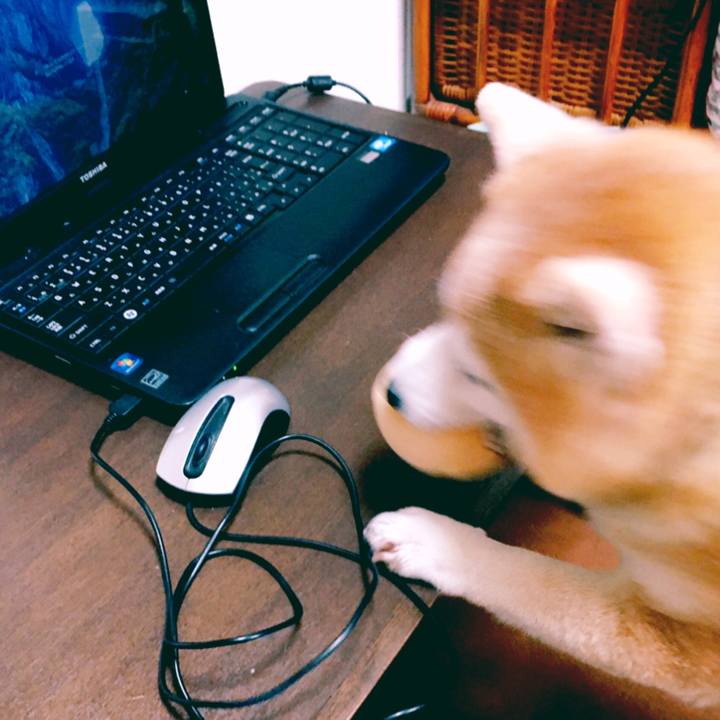 B0e755b9 5d25 46e6 ac7a 264721c8d867 1586532959765