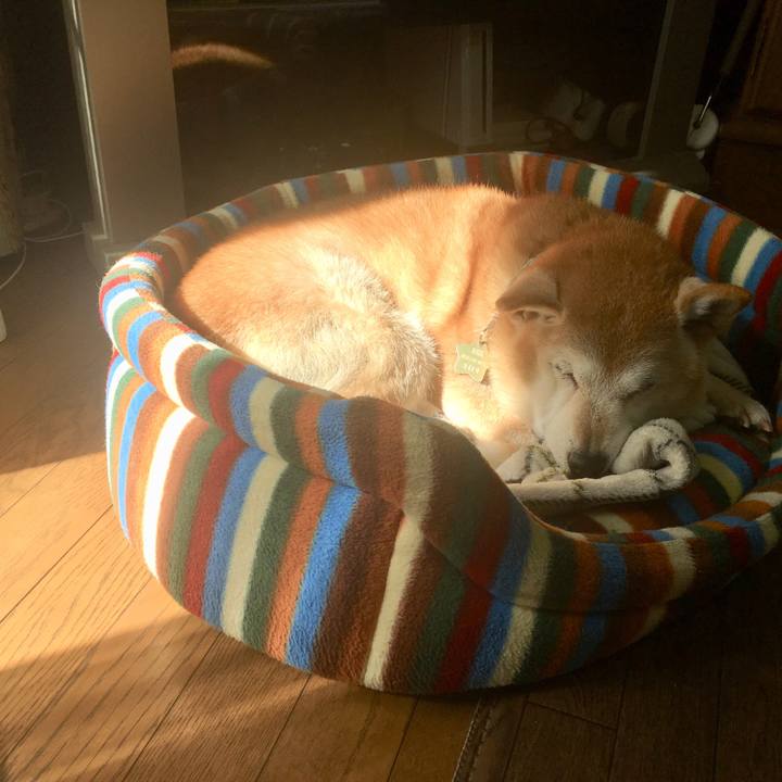 B0e762eb 3ac9 429b 9be3 02e6ca261cee 1552006928083