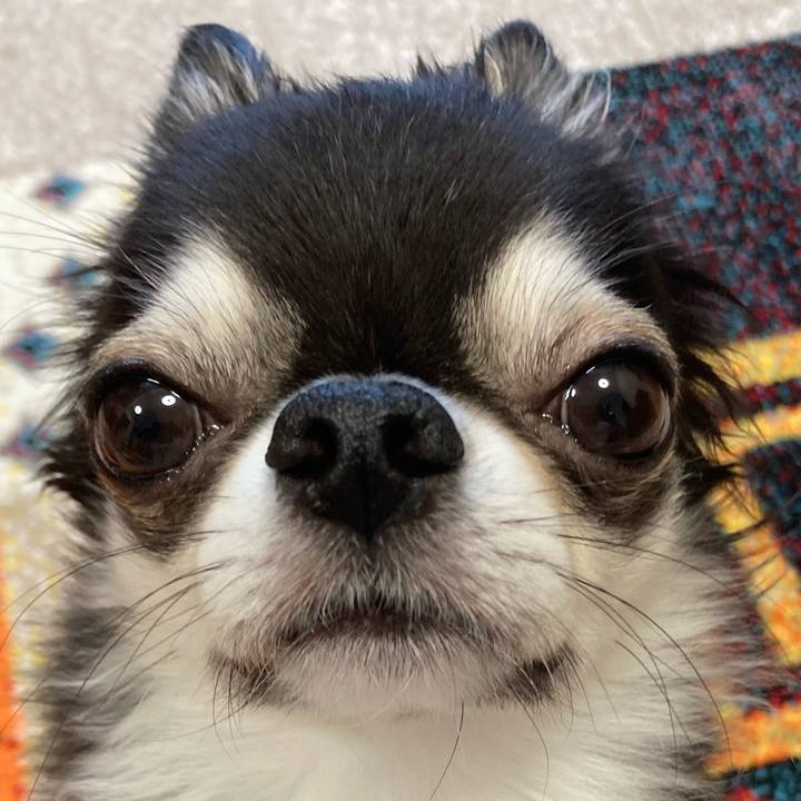 B0e79a44 96d9 46b2 9e45 b45187be75cc 1692392627147