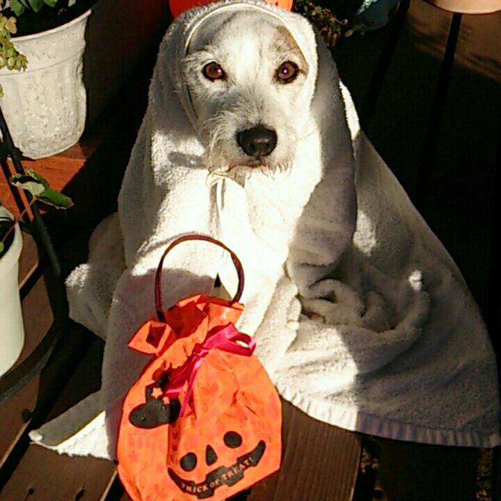 B0e7bc41 3cf5 4996 8ff9 1d53befbce96 1509316552360