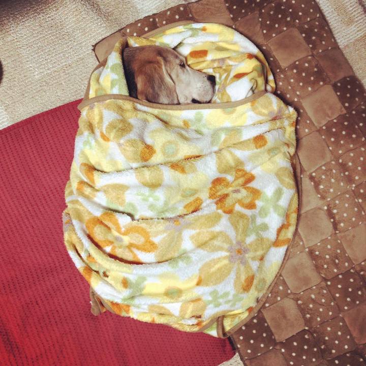 B0e7caab ed55 4b74 b50d d475c3e4c79f 1571548289124