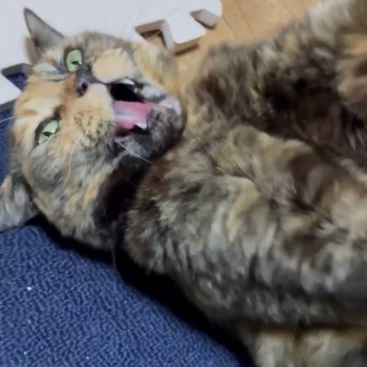 B0e804b5 f815 4be6 97c2 359c4ba0eec9 1771502397939