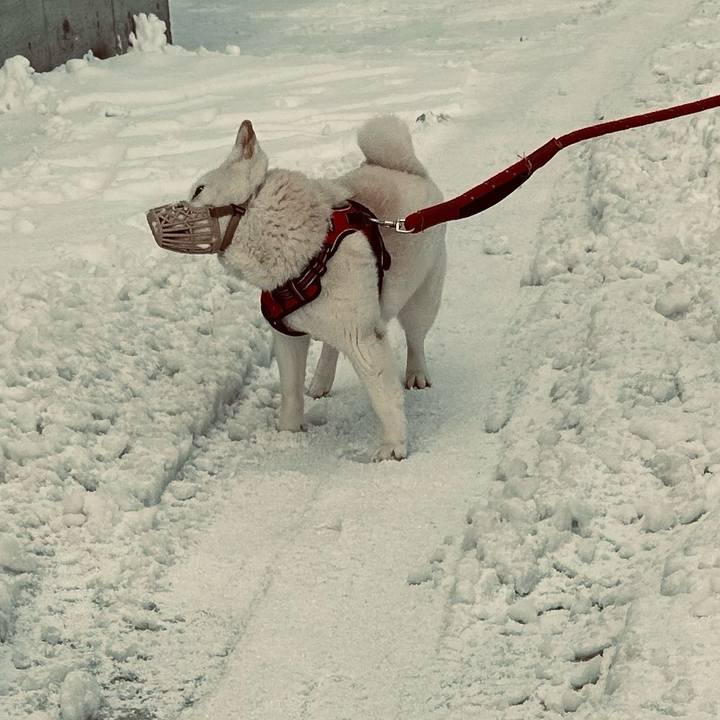 B0e80927 7c0f 404b 98e1 241fe3c199c9 1710629508315