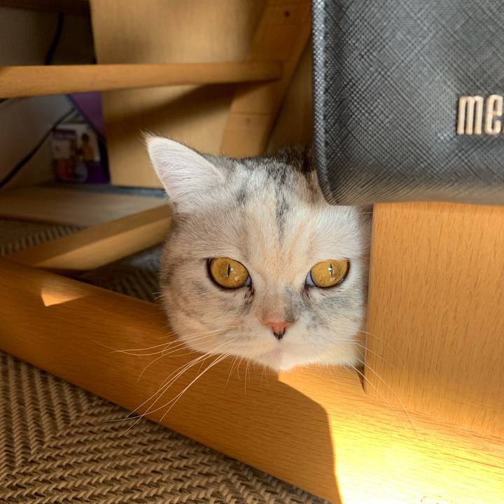 B0e81acf 23c7 4e32 9d6f e6990b04ddb3 1708729151421