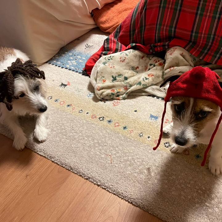 B0e8a136 1bd9 4aac 9da6 6d3d1be5b553 1708396236042