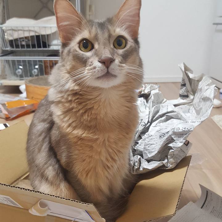 B0e8a3d0 eab1 4fda a294 9e73e557cfc2 1576155768464