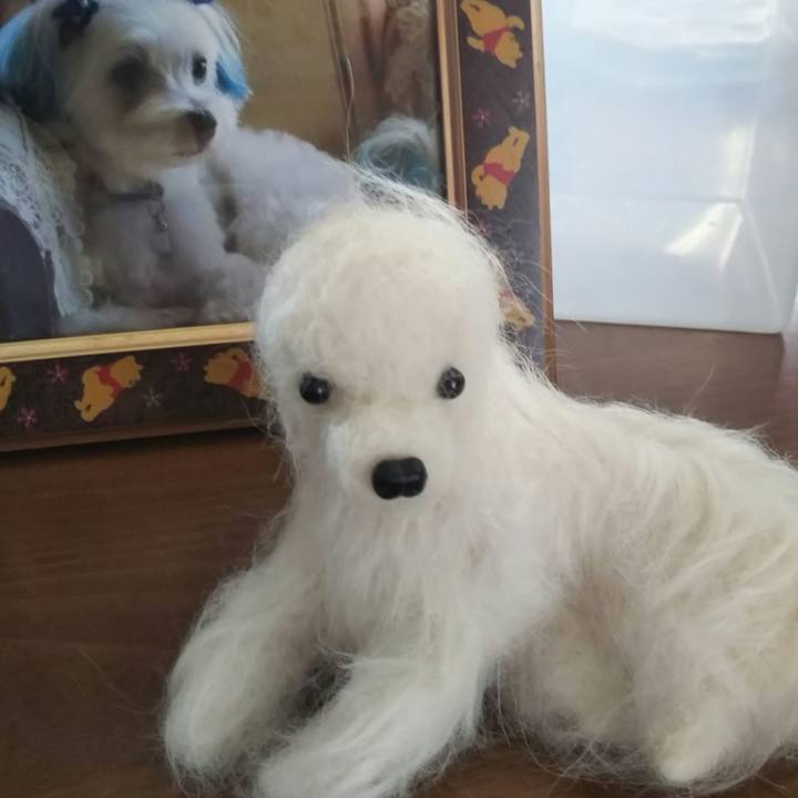 B0e8afd6 dcaf 4337 95ff 579fe09324a0 1523238074405