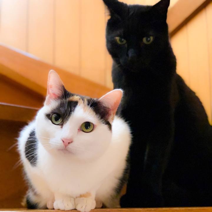 B0e8f1d6 6dfb 4864 be42 f8a121a42ba2 1562288858345