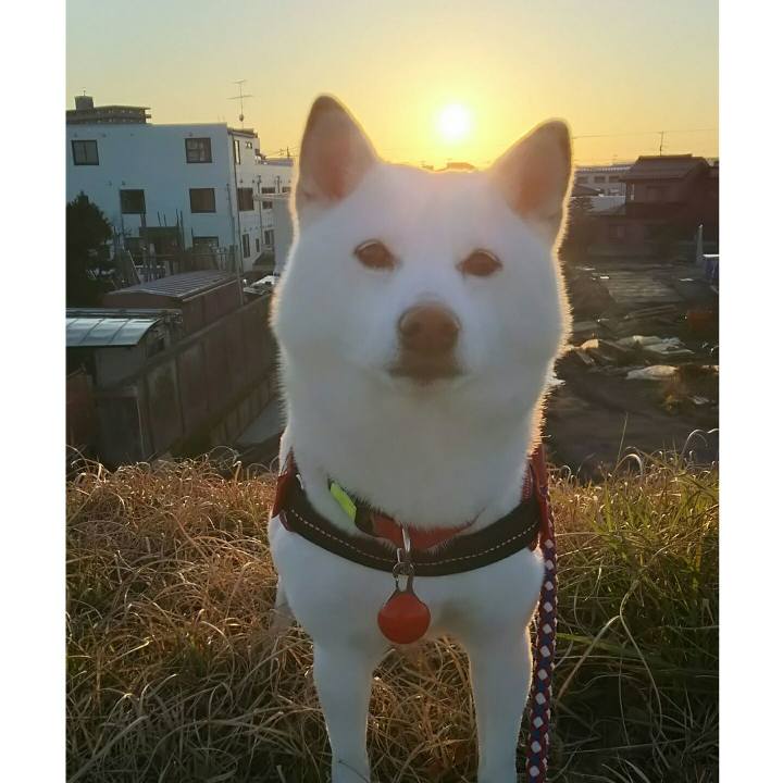 B0e8fa5c 476a 4012 80ea 8f9fcdb558a6 1584004176114