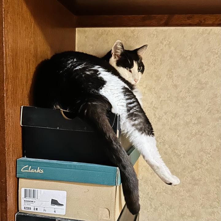 B0e925d3 daba 4473 b139 b4f6064befeb 1687743149433