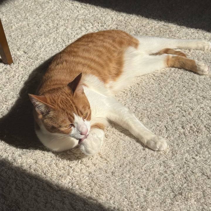 B0e9282d dc55 4b32 9d6a 5d661328b725 1770815489924