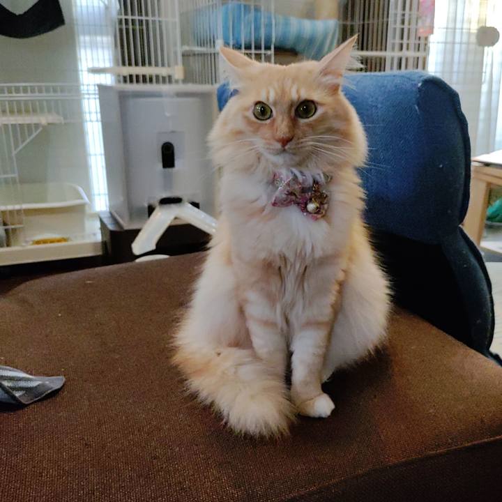 B0e9337f d3b2 4d7b b9a1 efb235693fdb 1666861898558