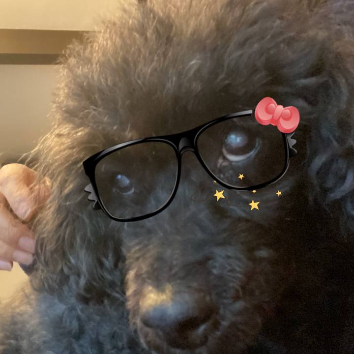 B0e98289 1f2b 4992 b484 6a89c5470f0d 1581898506450