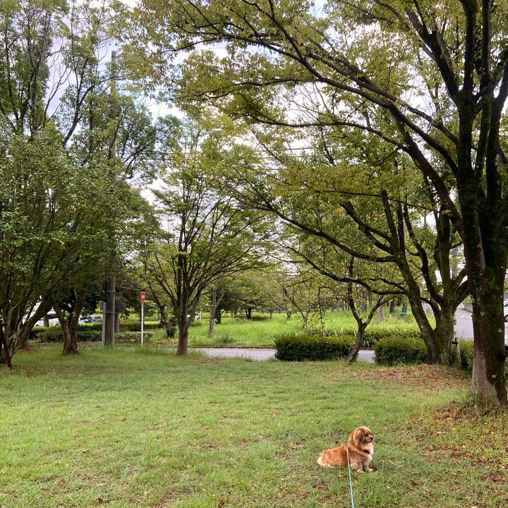 B0e99ebb 4680 4d9a aee2 51f9c5de3e35 1598911112295