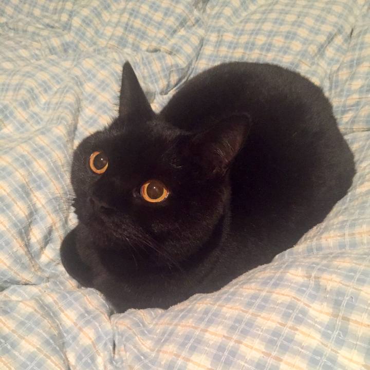 B0e9a40c 1681 42e6 bb8a 6b342264ab8e 1550402262381