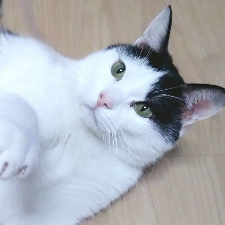 B0e9ab7c 0c4c 482e 988d 33ad74c359d2 1547034675832