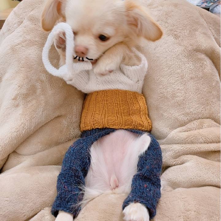 B0e9cf0a 94b7 4be3 995b 957d0ddad9ff 1614674133147